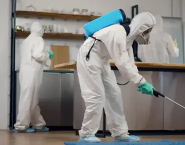 5 Proven Cost-Effective and Long-term Pest Control Solutions